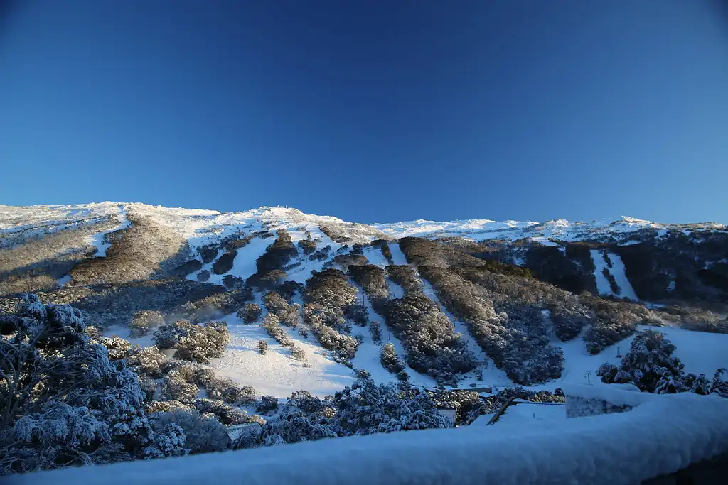 1 Day Thredbo Snow Tour