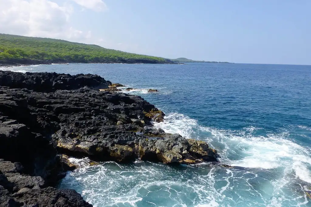 Kealakekua Bay Snorkel Tour - Captain Cook Exclusive