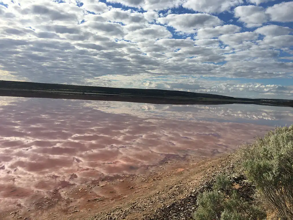 Pink Lake Buggy Tour | Western Australia