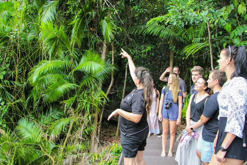 Full Day Cape Tribulation and Daintree Wildlife Tour