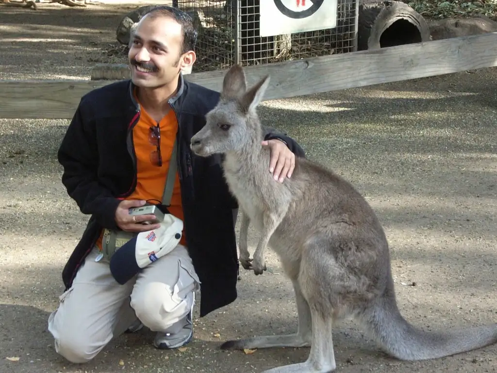 Blue Mountains Nature and Wildlife Tour