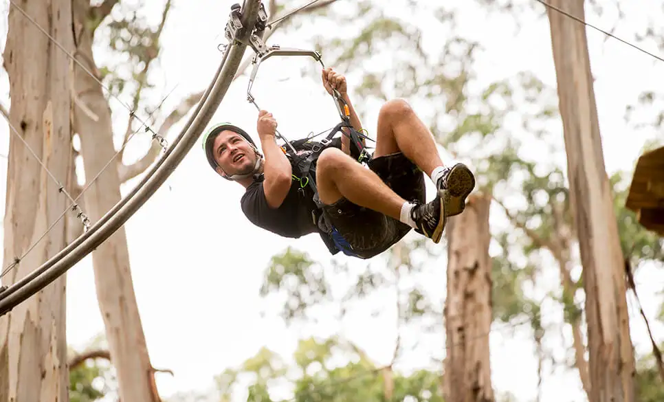 Surf Coast & Lorne Zipline Tour