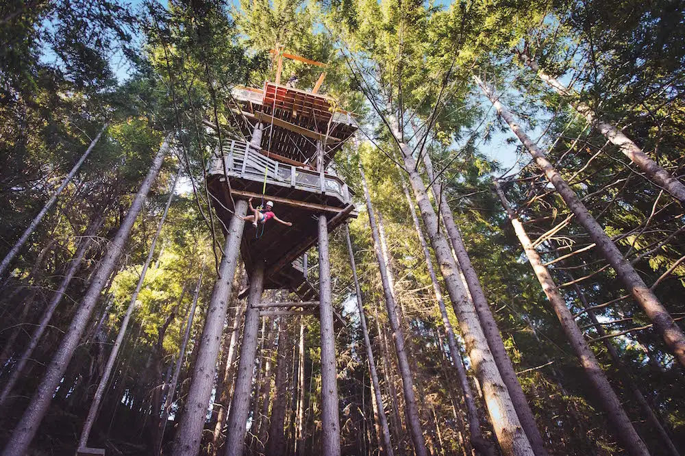 Kereru Zipline Tour - Queenstown