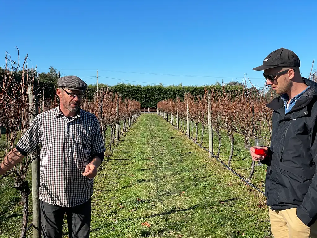 Wairarapa Wine Tasting & Martinborough Day Tour