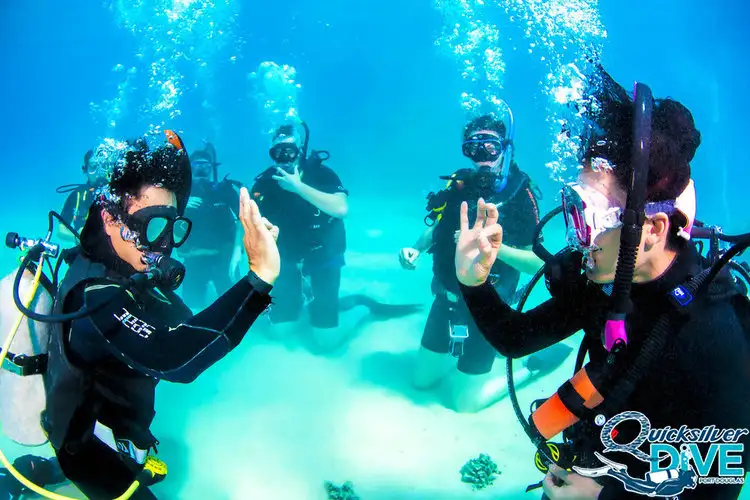 Silversonic Great Barrier Reef Intro Dive from Port Douglas