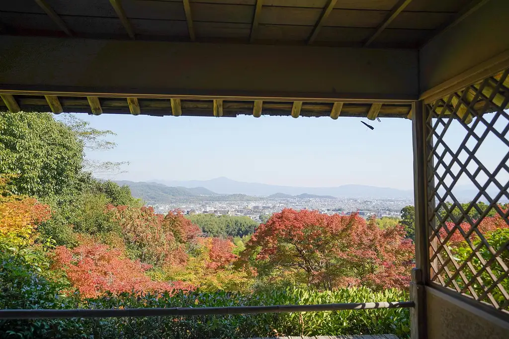 Kyoto Arashiyama Bamboo forest & Garden Half-Day Walking Tour