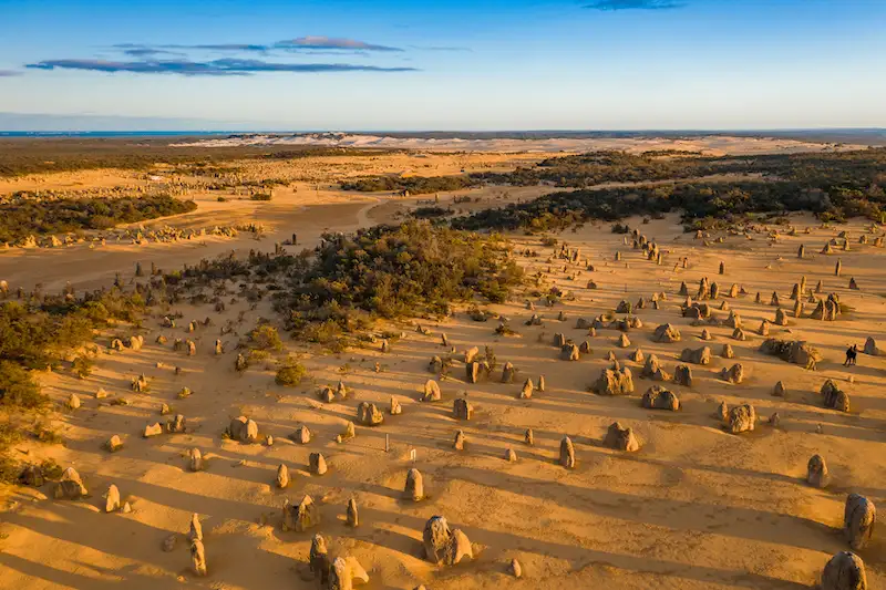 Pinnacles Sunset, Stargazing & Wildlife Full Day Tour