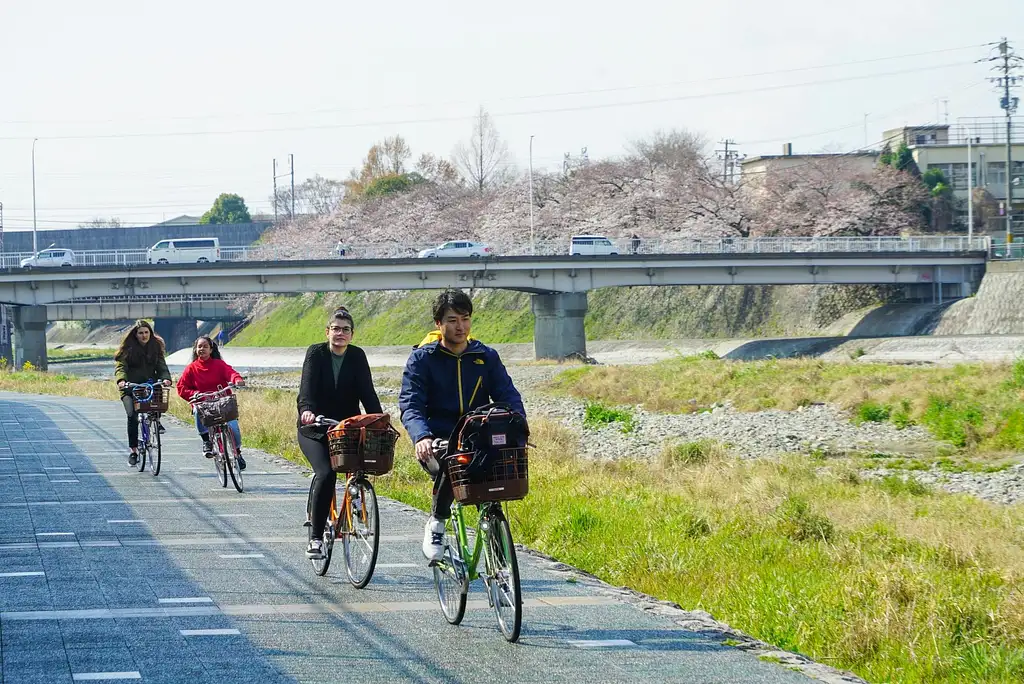 Kyoto Historical Cycling Tour with The Golden Pavilion | [W/Lunch] Kyoto Highlights Bike Tour with UNESCO Zen Temples