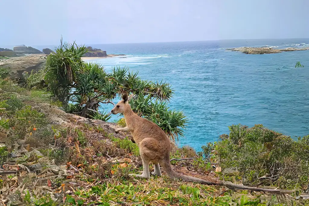 North Stradbroke Island Day Trip from Brisbane