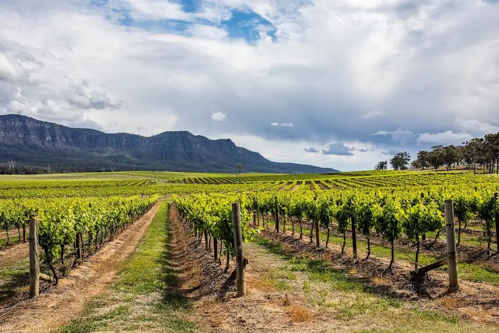 Hunter Valley Wine & Dine Small Group Tour With Lunch | Sydney