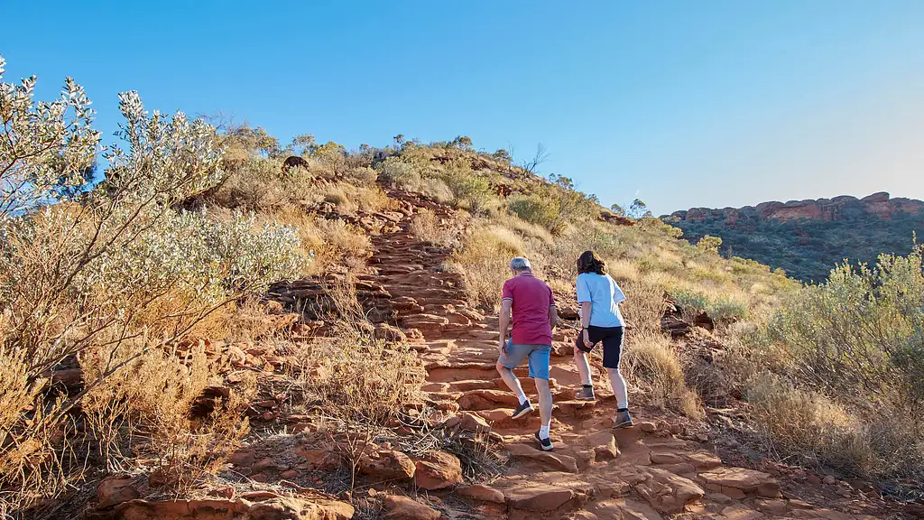 Ochre Sightseeing 5-in-1 Pass – Uluru–Kata Tjuta National Park & Kings Canyon