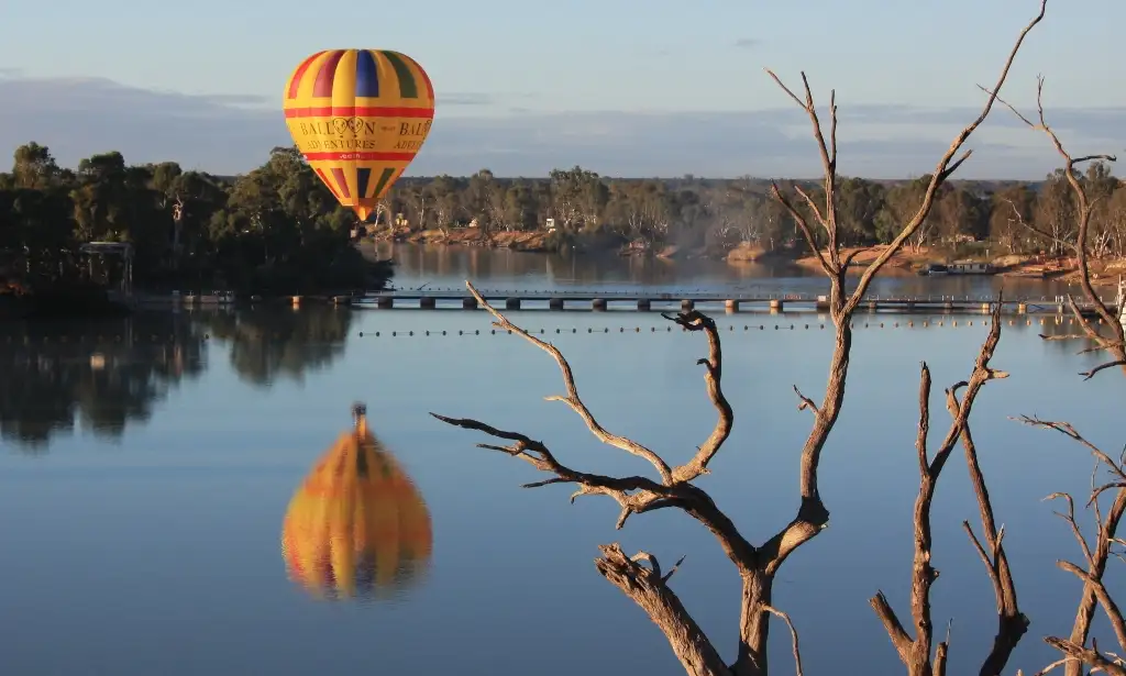 Sunrise Hot Air Balloon Flight Over Barossa Valley