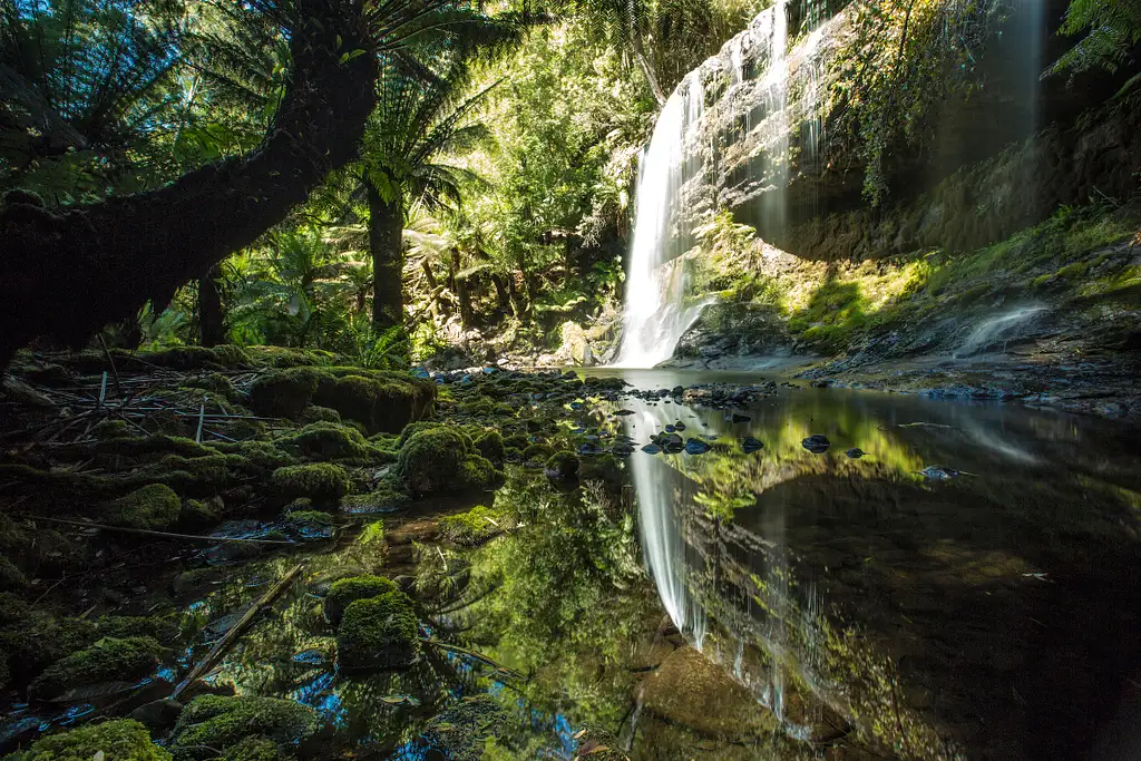 Mount Field to MONA Day Tour | From Hobart