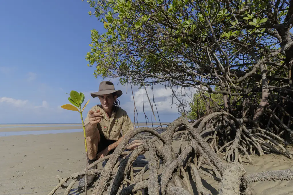 5 Day Atherton Tablelands Eco Tour