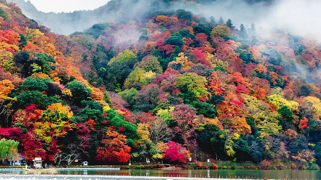 Arashiyama Highlights Walking Tour With Bamboo Forest And Monkey Park