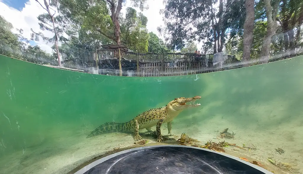 Lone Pine Koala Sanctuary Entry