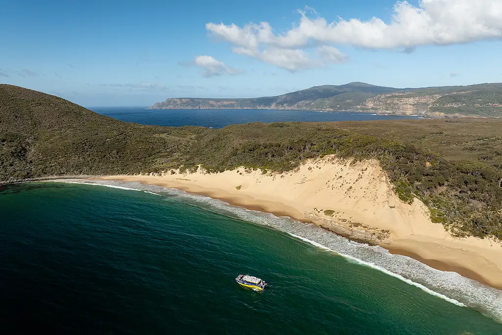 Cape Raoul Cruise with Port Arthur Day Tour | From Hobart