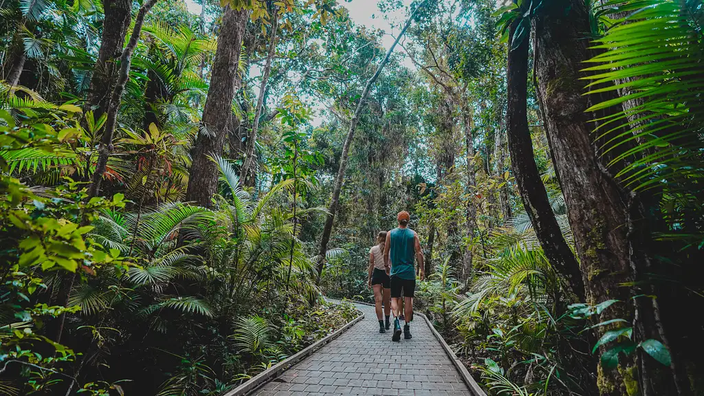 5 Day Atherton Tablelands Eco Tour