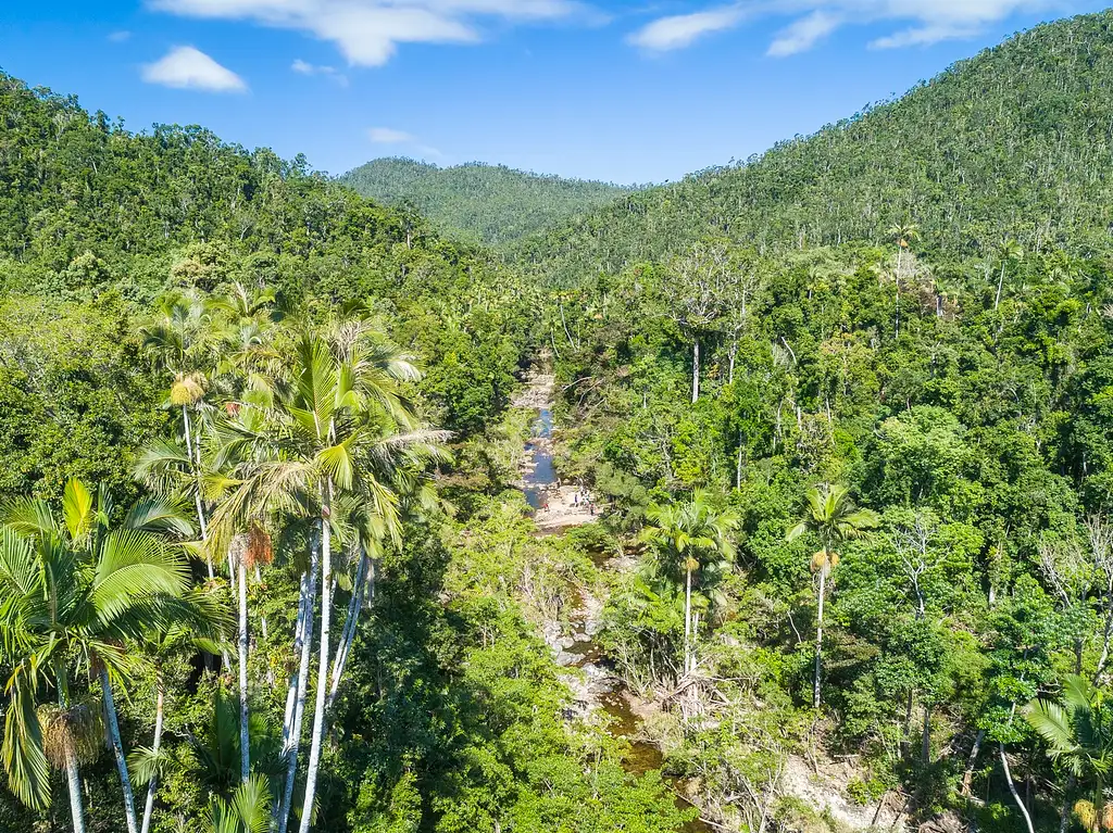 Segway Rainforest Discovery Tour