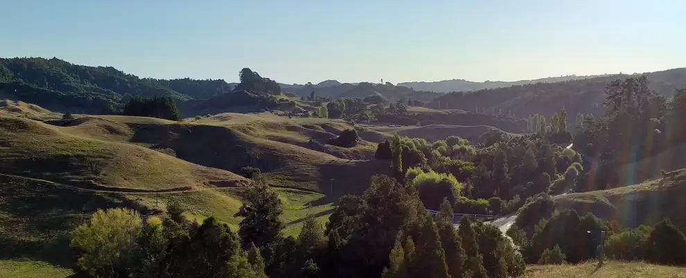 Waitomo Zipline Tour