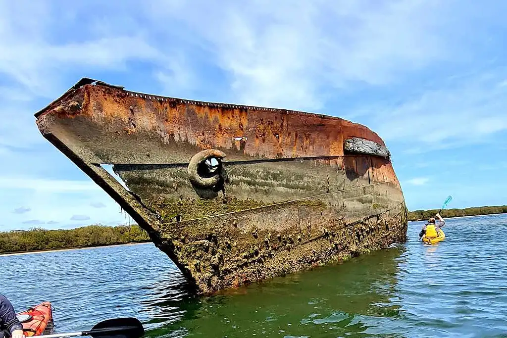 Adelaide Dolphin Sanctuary Guided Eco Kayak Tour