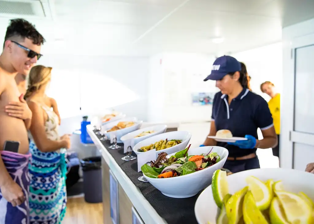 Moreton Island Dolphin & Tangalooma Wrecks Day Tour