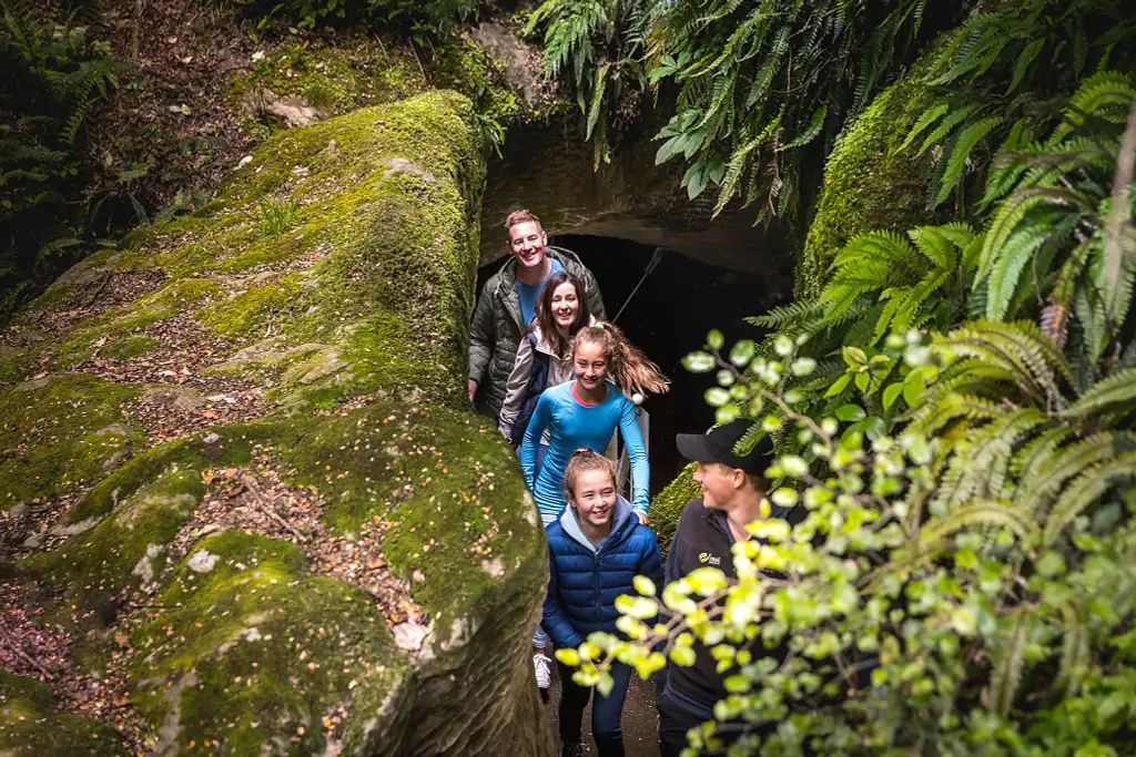 Te Anau Glowworm Cave Tour