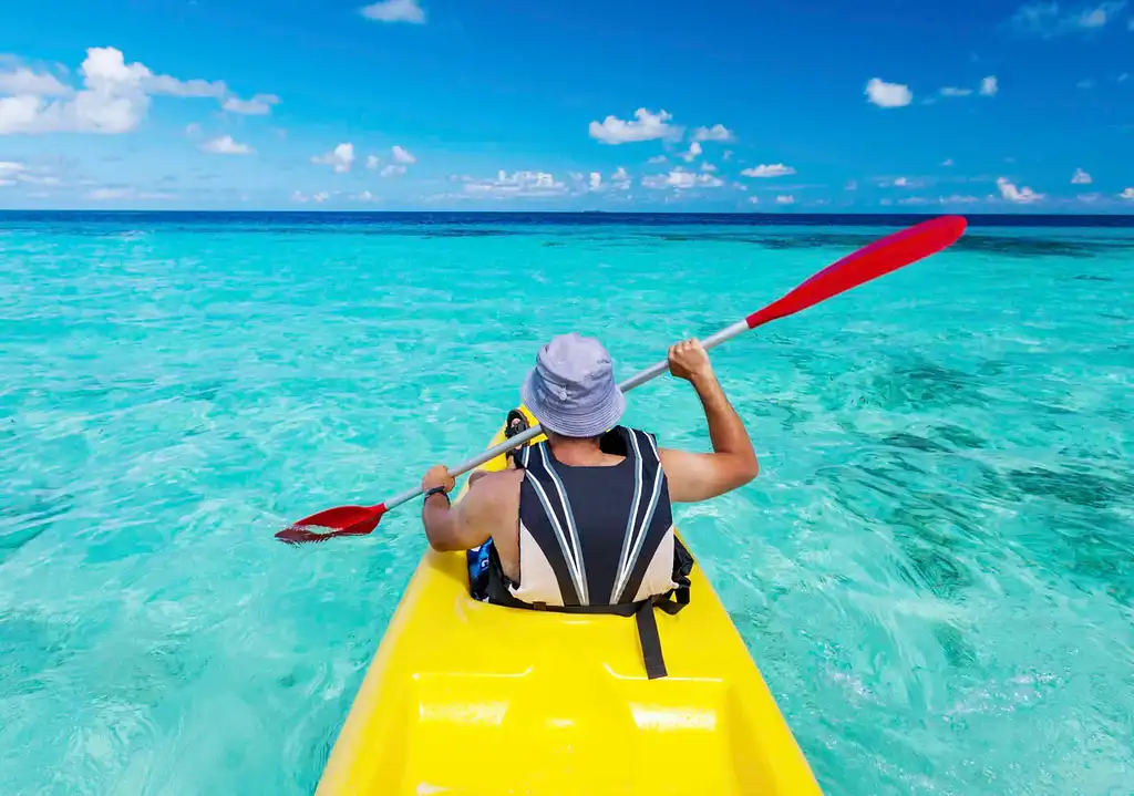 Moreton Island Dolphin & Tangalooma Wrecks Day Tour