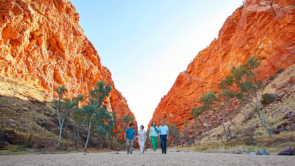 The Best of Alice Springs Tour (A73)