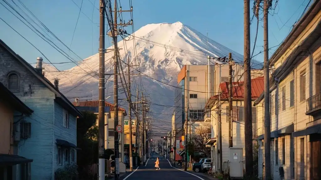 Instagram-worthy Mt Fuji Full-Day Tour | From Tokyo