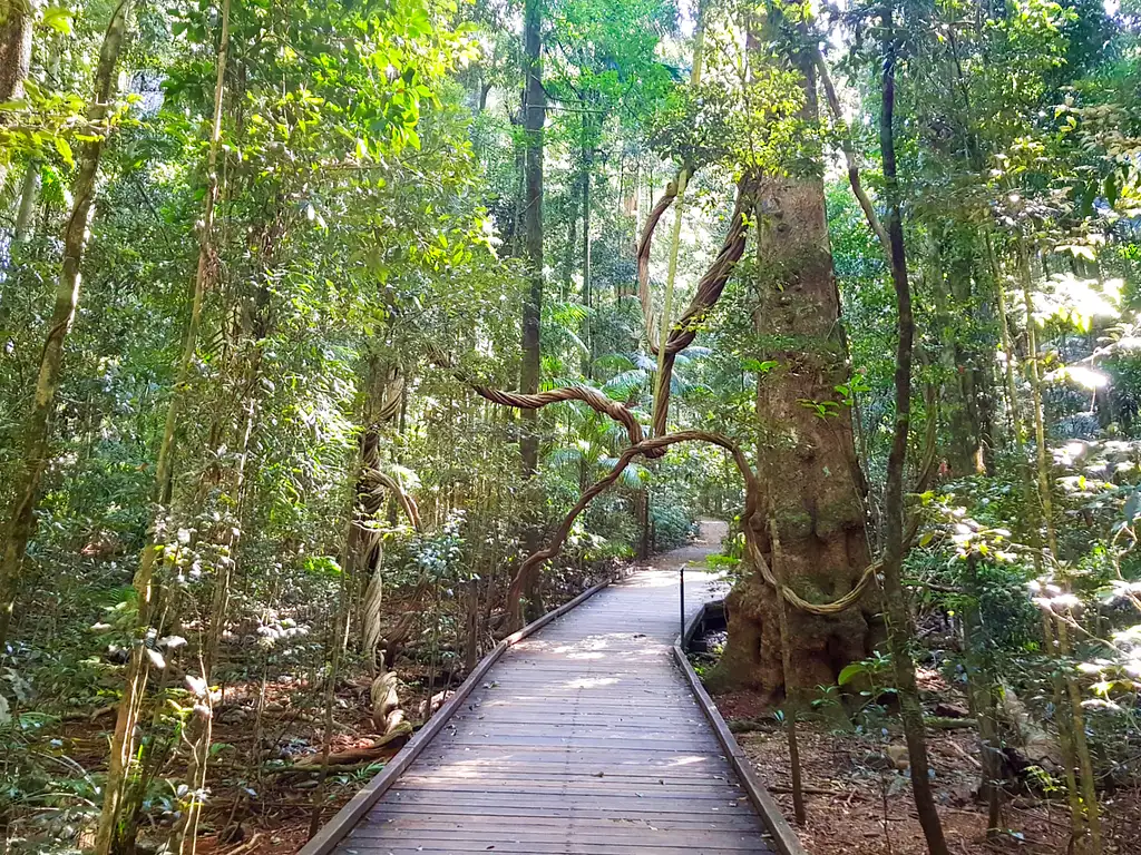 Sunshine Coast & Hinterland Day Tour From Brisbane or Sunshine Coast