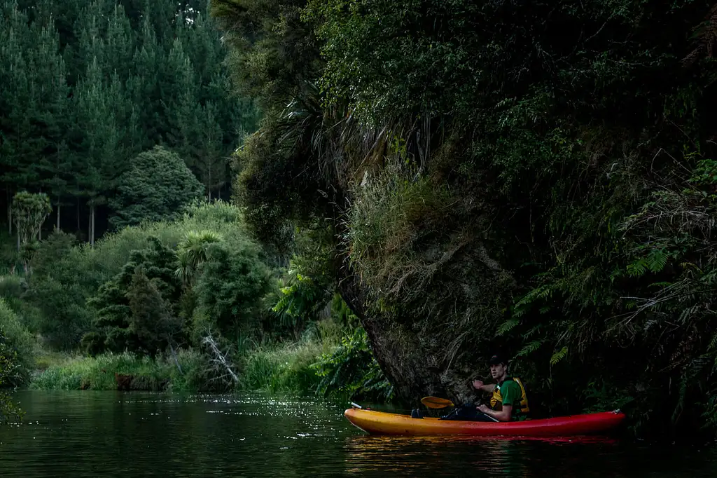 Lake Karapiro Twilight Kayak Glow Worm Tour