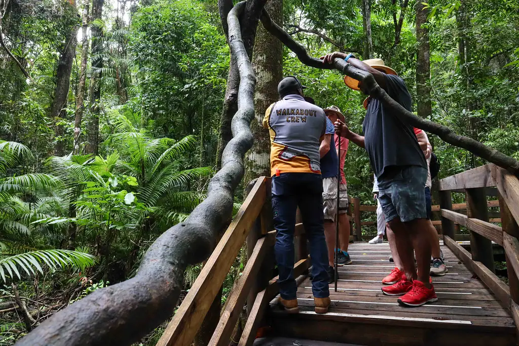 Cape Tribulation Tour - Full or Half Day Option