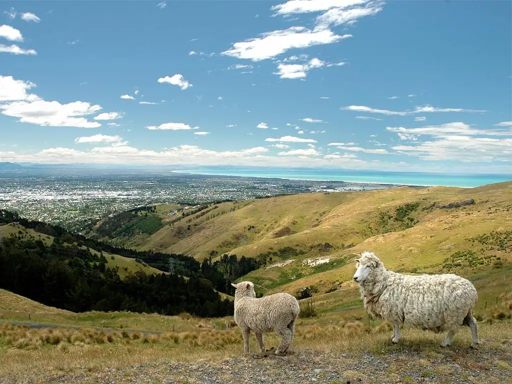 15 Day Highlights of New Zealand: Auckland to Christchurch | G Adventures