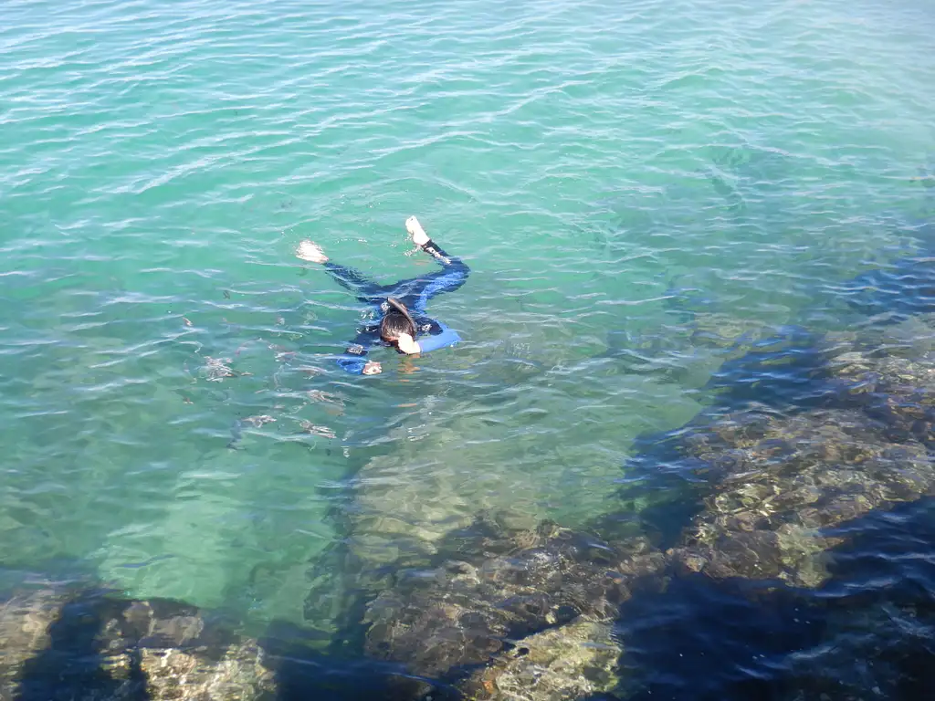 Gold Coast Kayaking & Snorkelling tour