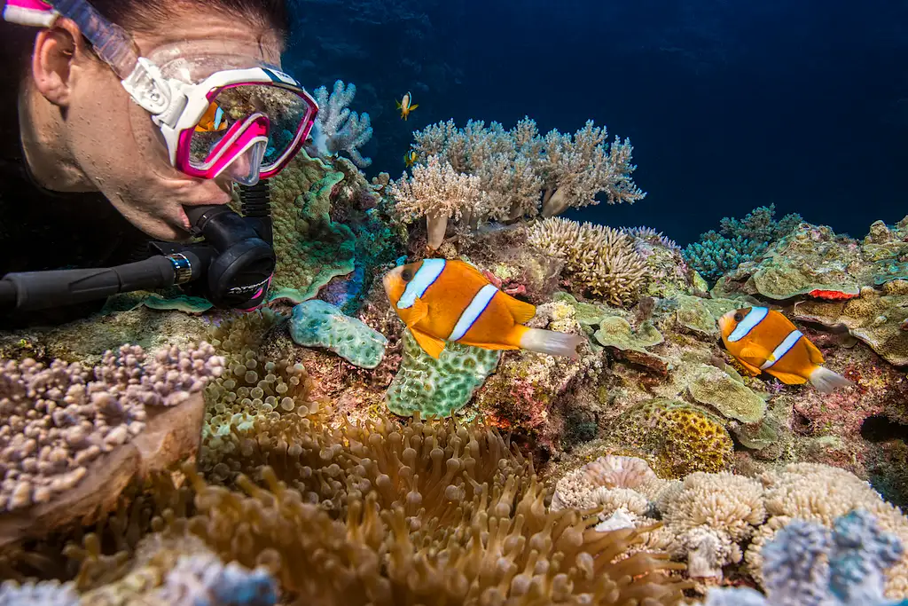 Cairns 5 Day PADI Learn To Dive Course + 2 Night Liveaboard Experience | Great Barrier Reef