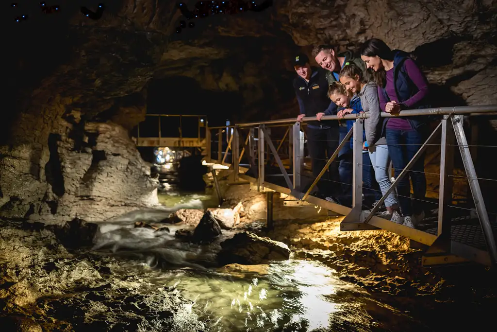 Te Anau Glowworm Cave Tour