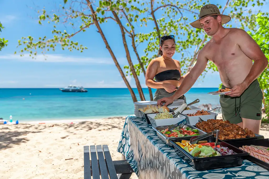 Frankland Islands Reef, Rainforest & River Day Tour from Cairns