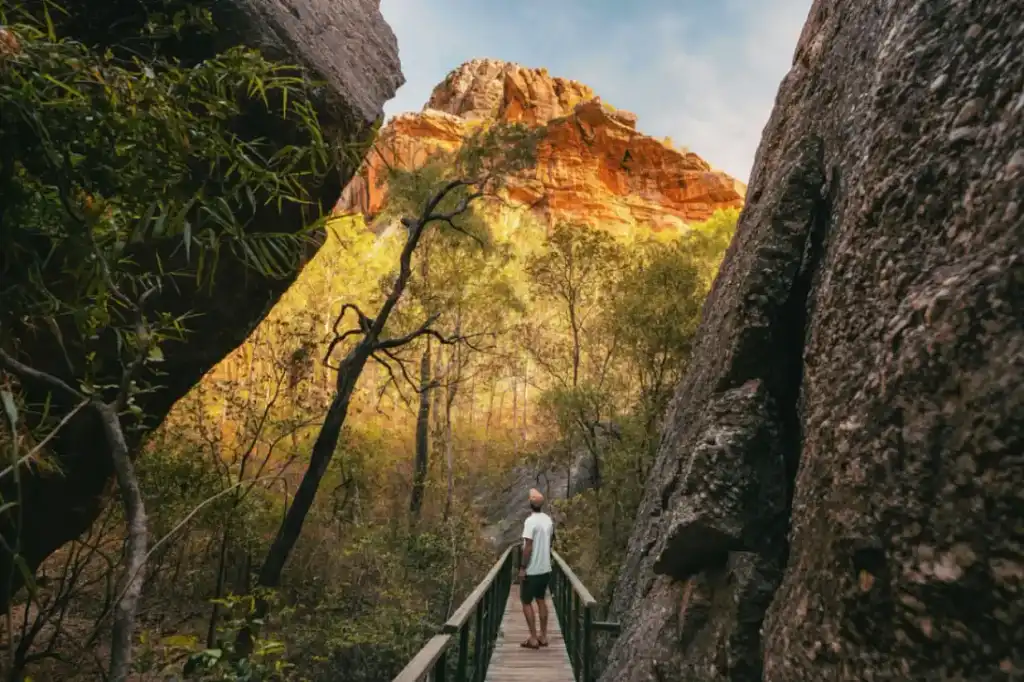 3 Day Kakadu to Litchfield 4WD Swag Camping from Darwin