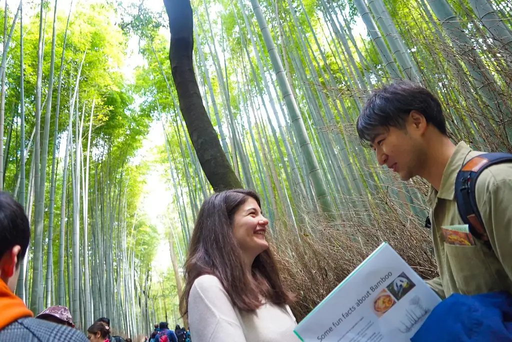 Kyoto Arashiyama Bamboo forest & Garden Half-Day Walking Tour