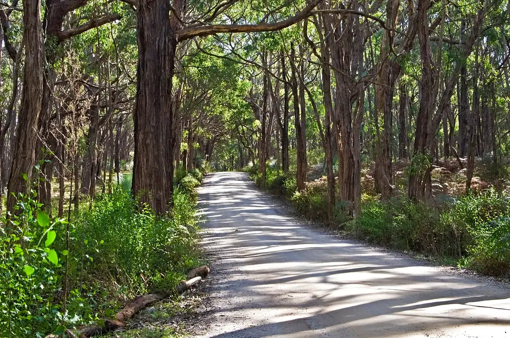 4 Day Yoga Retreat - Fleurieu Peninsula