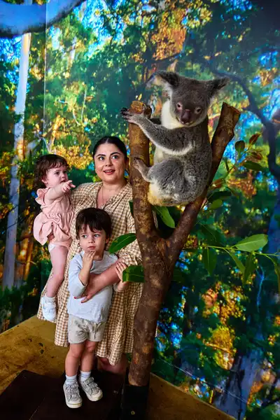 Cairns Koalas & Creatures Koala Photo Experience