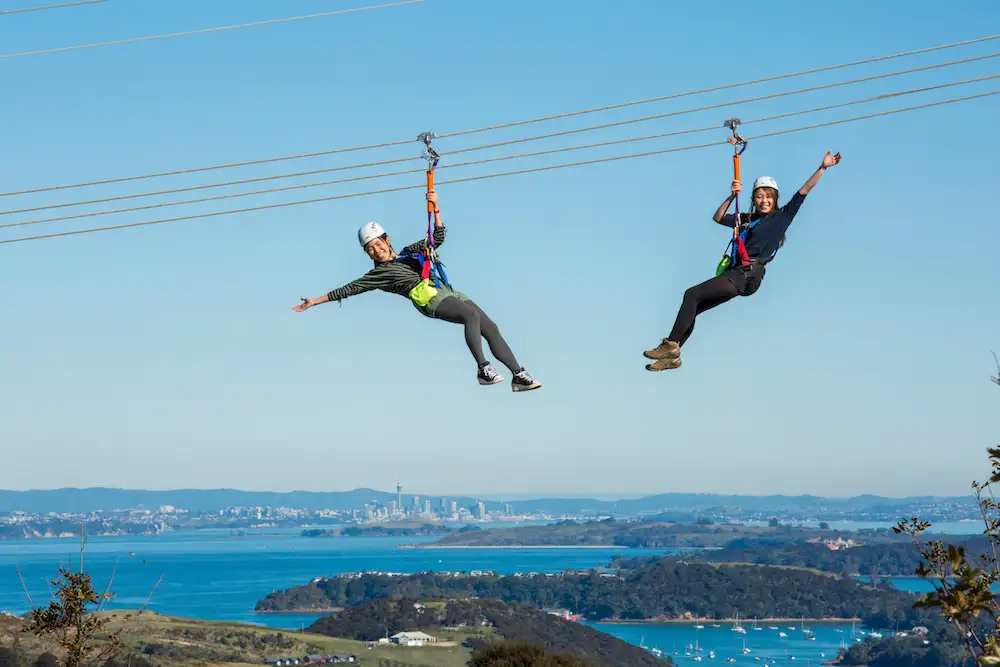 Ziplining & Forest Walk Waiheke Island