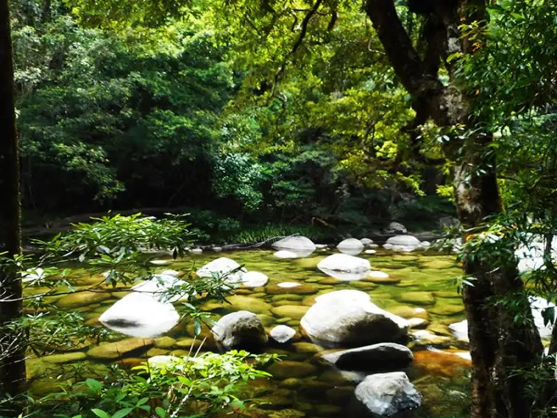 Cape Tribulation Budget Full day Tour