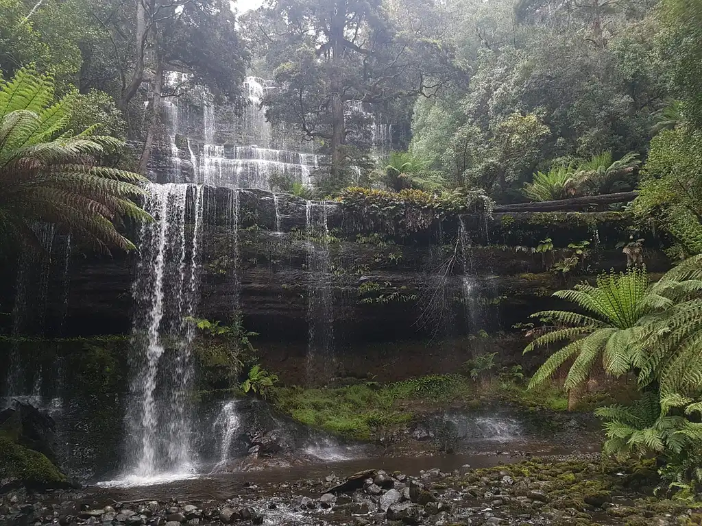 4 Day Wild Tasmania Tour