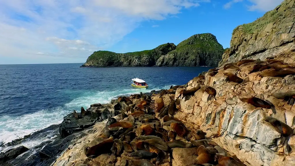 Wilderness Cruise From Bruny Island