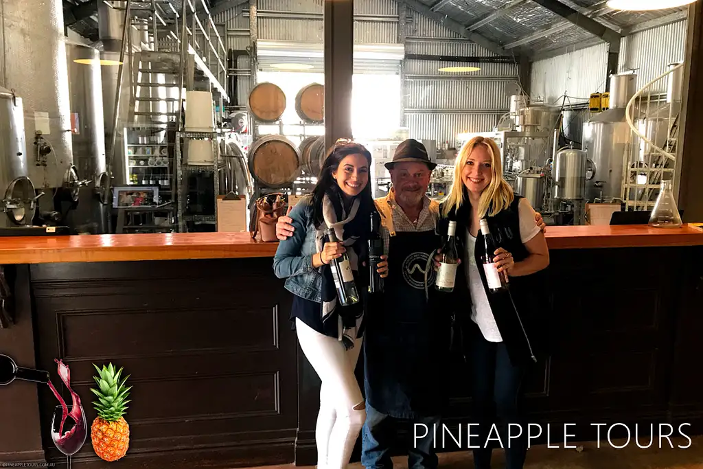 Premium Full Day Mount Tamborine Winery Tour with Lunch - Brisbane & Gold Coast Departure