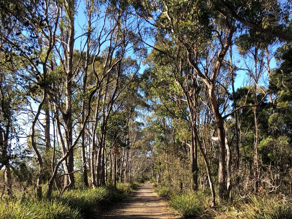 Bruny Island Adventure from Hobart