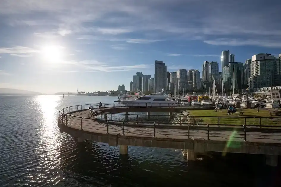 Half-Day Whale Watching From Vancouver