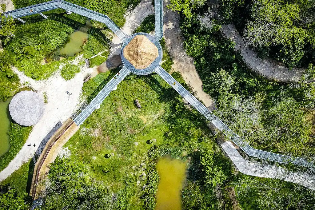 Phuket Elephant Sanctuary Canopy Walkway Program